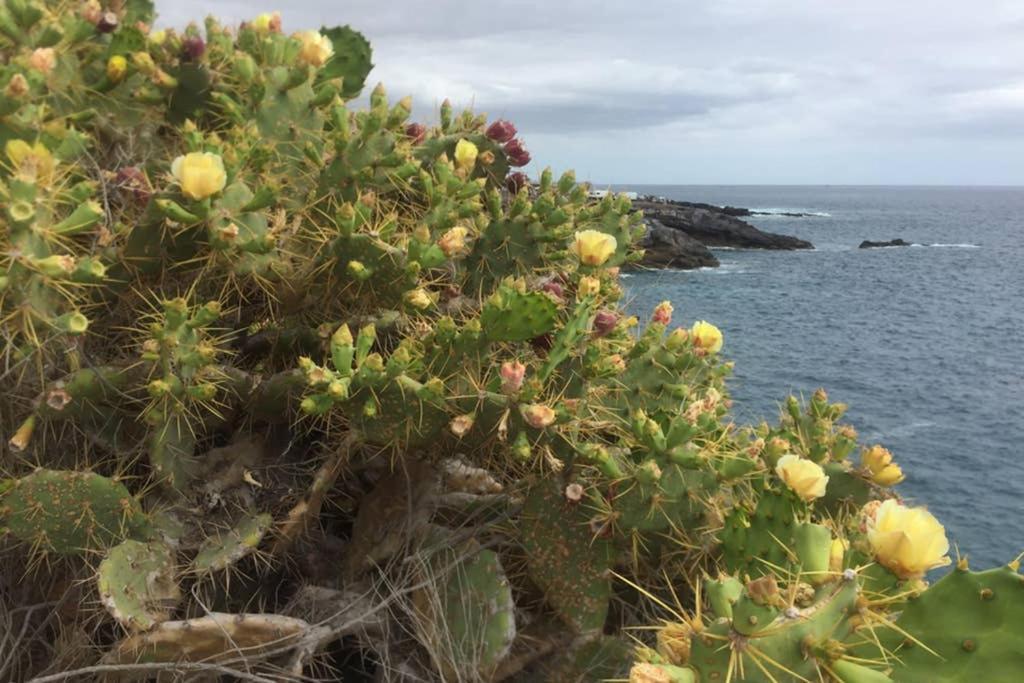 Wonderful View Costa Adeje (Tenerife) Exterior foto